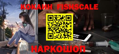 гидра Тара
