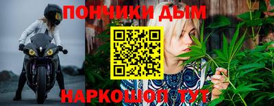 гидра Тара
