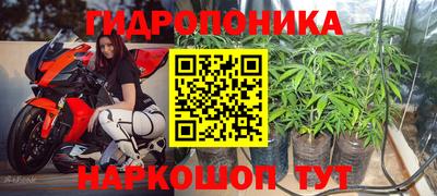 стафф Татарск